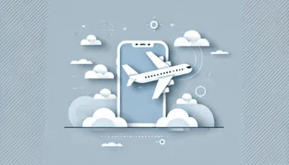 ANAマイラー必見！ANA Pocket有料会員9ヶ月続けたマイル獲得数は？