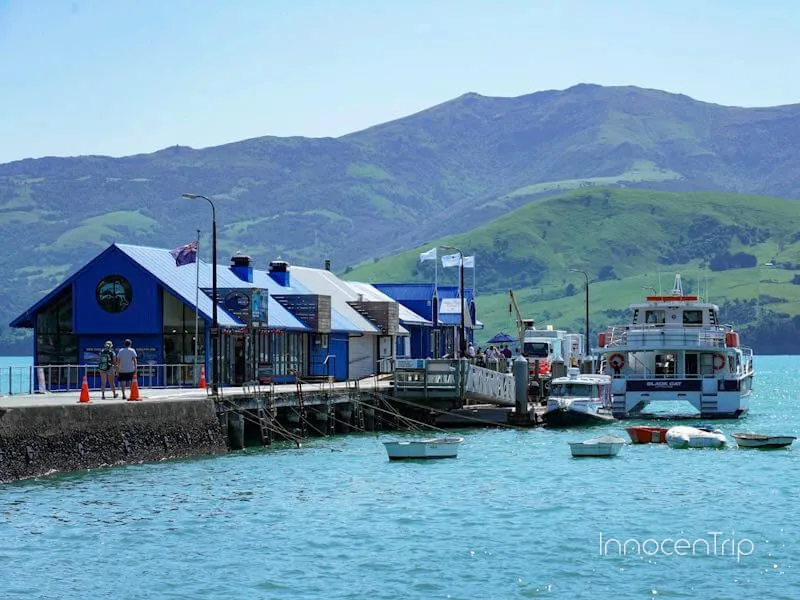 アカロアで出航を待つネイチャークルーズの船