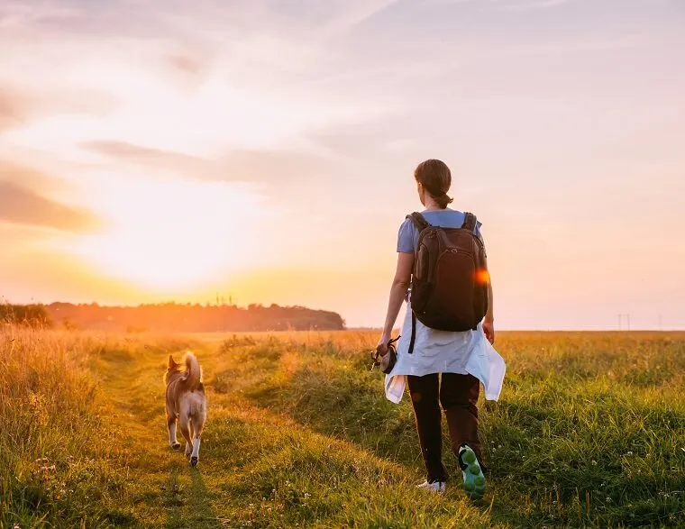 バックパックの旅