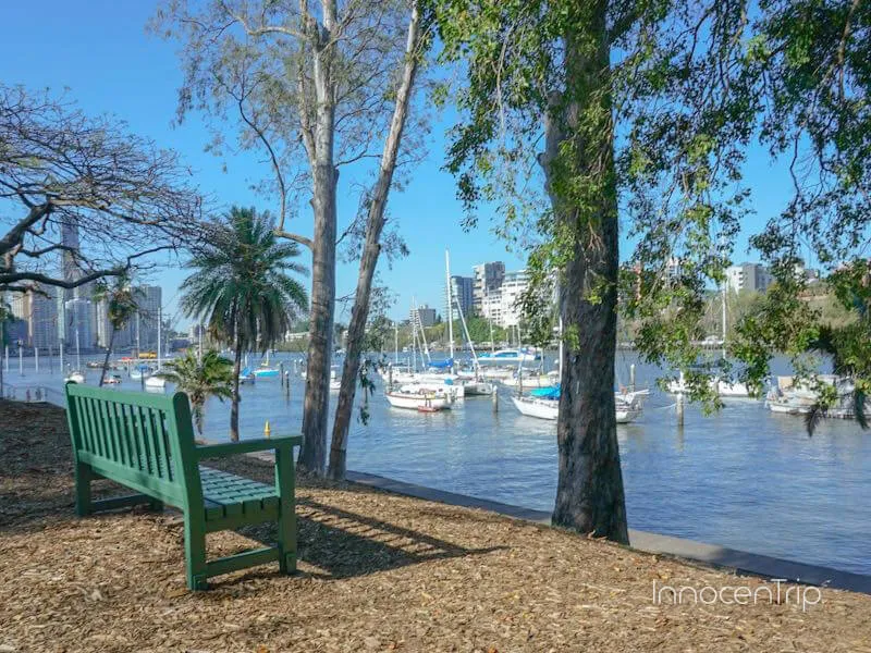 ブリスベンシティ植物園から見える川沿いの風景