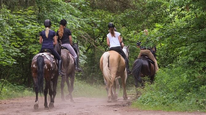 ケアンズで乗馬ツアーを体験、熱帯雨林や湖のほとりを馬で散歩 のアイキャッチ画像