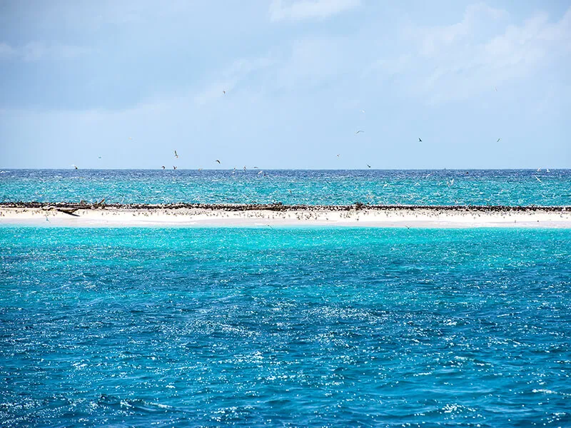 ミコマスケイの美しいビーチと青い海