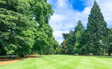 庭の街クライストチャーチ、女子ひとり旅で行く観光スポット・グルメまとめ