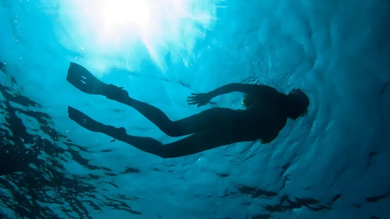 泳げないけどグレート・バリア・リーフでシュノーケリングはできる？ のサムネイル画像