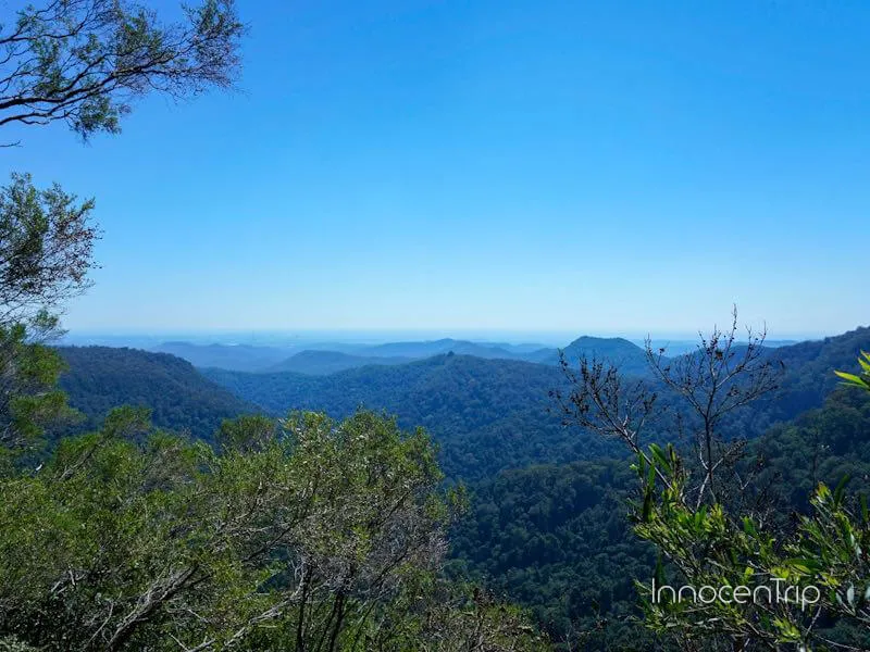 世界遺産スプリングブルック国立公園の滝と森林