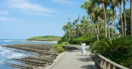 宮崎の女ひとり旅ガイド：モデルコースとエリア別おすすめ