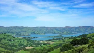 ニュージーランドのオススメお土産！ジャンル別