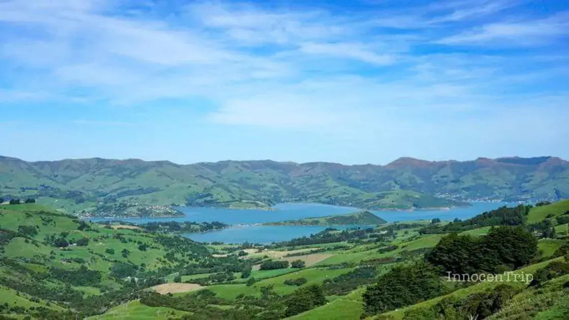 ニュージーランドのオススメお土産！ジ… のアイキャッチ画像