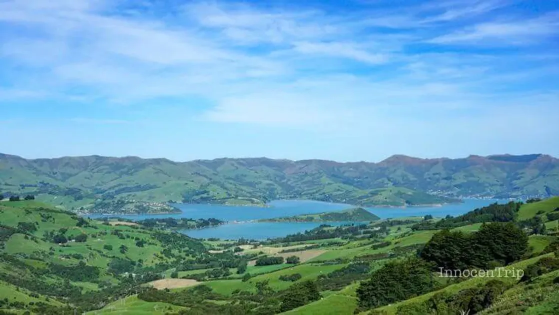 ニュージーランドのオススメお土産！ジャンル別 のサムネイル画像