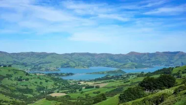 ニュージーランドのオススメお土産！ジャンル別