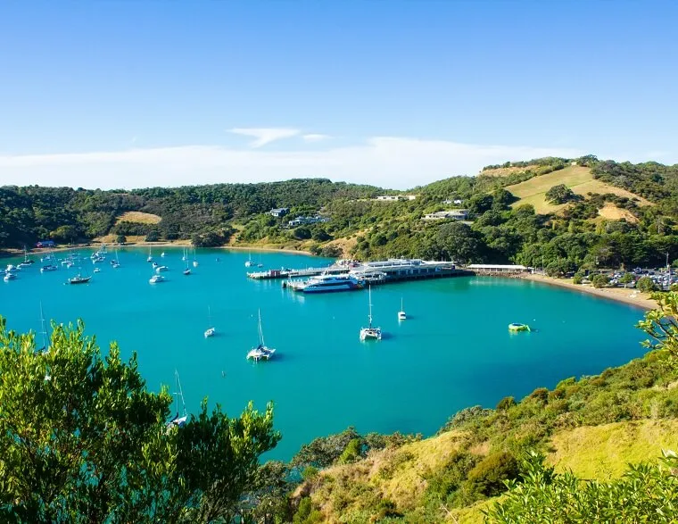 オークランド近郊ワイヘケ島 ワイナリーの丘から望むターコイズブルーのビーチ