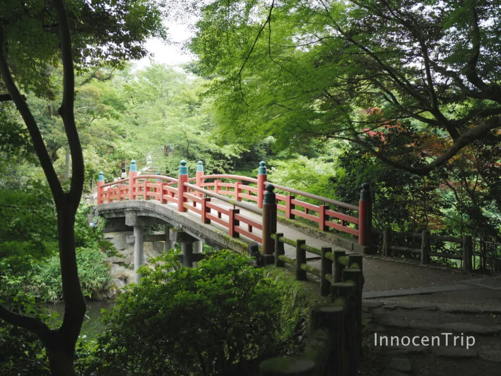 緑あふれる高岡古城公園の園路と静かな池