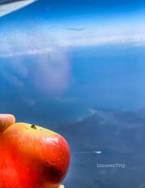 機内食のミニりんご