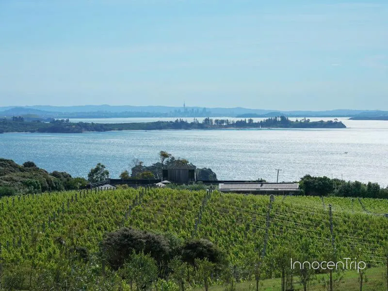 マッドブリック・ヴィンヤードから望むワイヘキ島の絶景