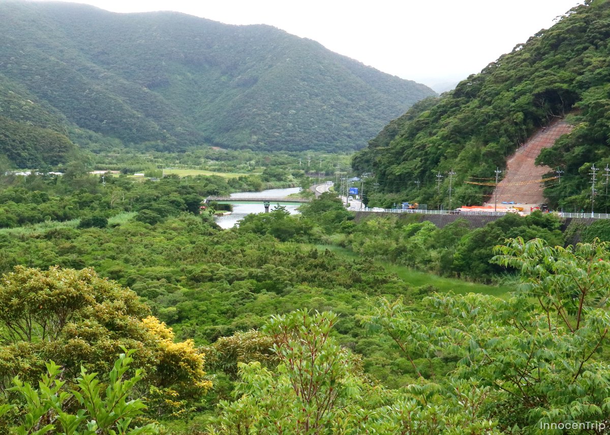 展望台からの眺め