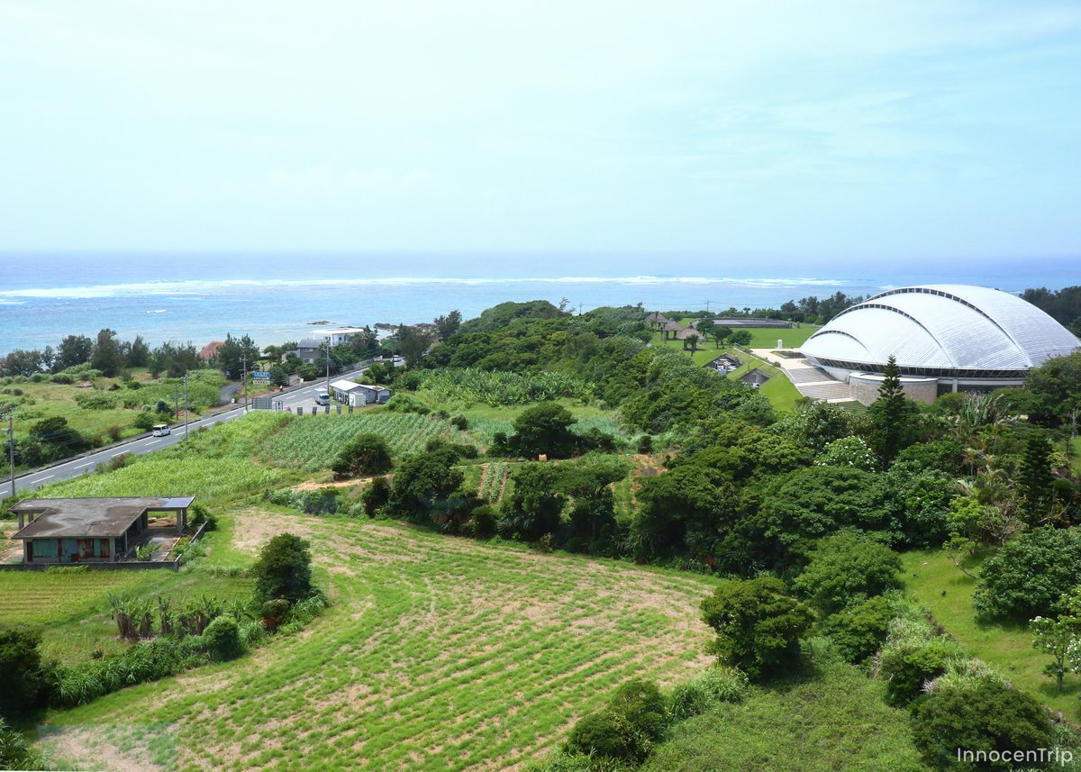 高台から奄美の海を望む
