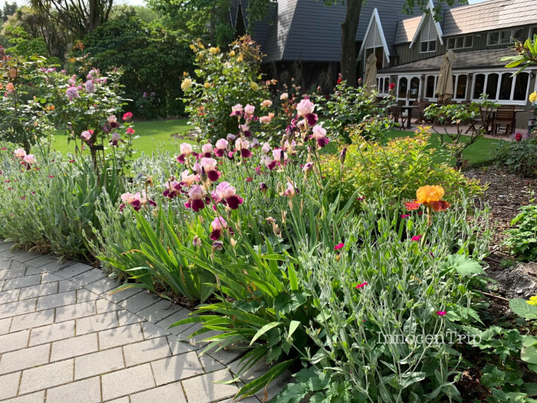 花咲くガーデン