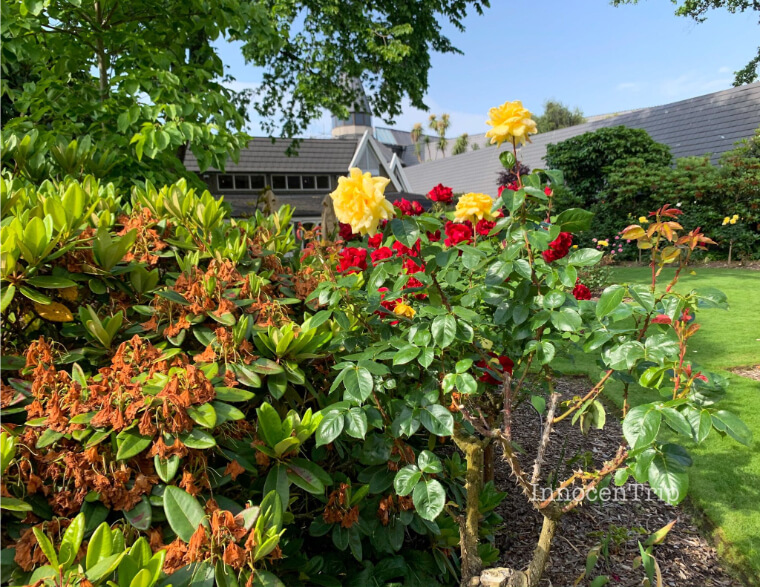 ホテルのガーデン