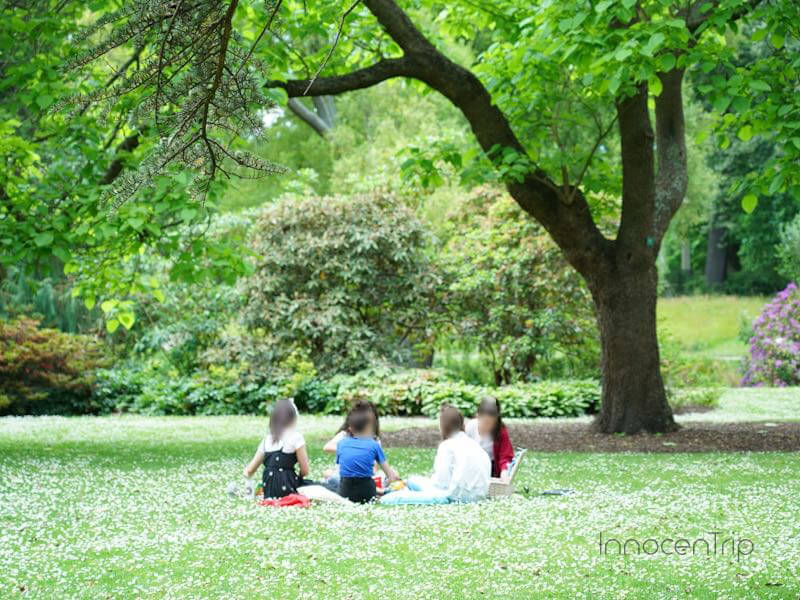 クライストチャーチ植物園