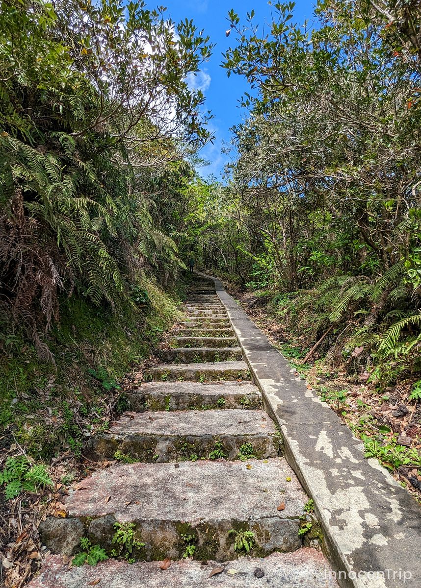登山中の細い石段が続く山道