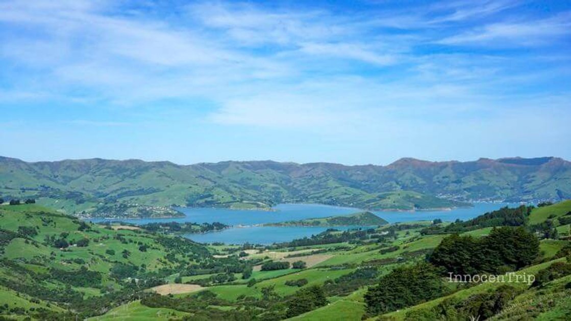 ニュージーランドのオススメお土産！ジャンル別 のアイキャッチ画像