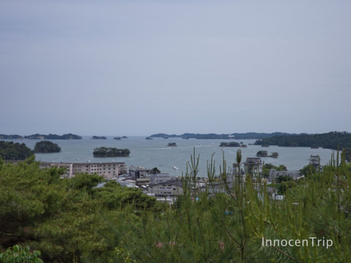 展望台から望む松島海岸