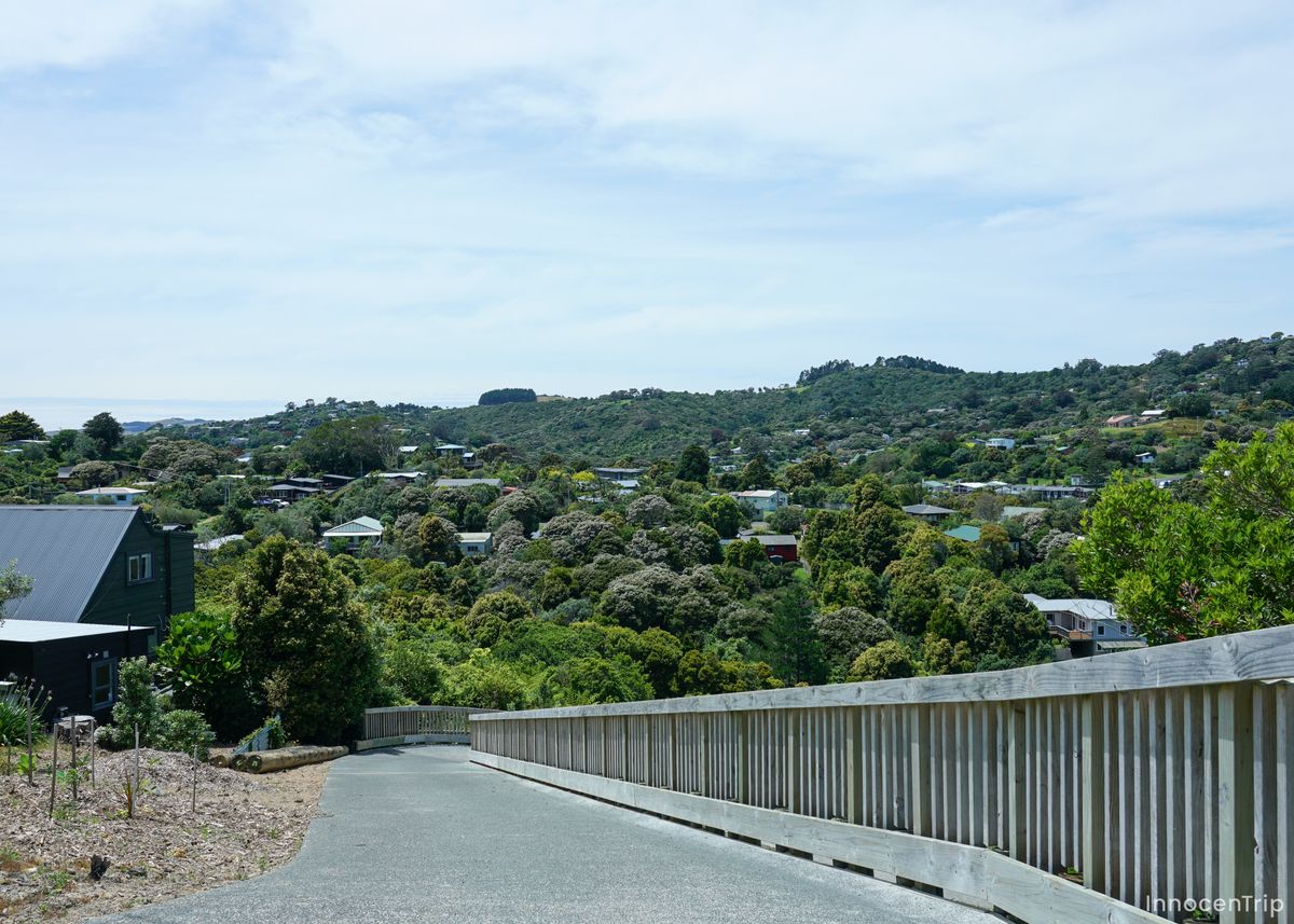 丘の上から見た緑豊かなワイヘキ島の景色