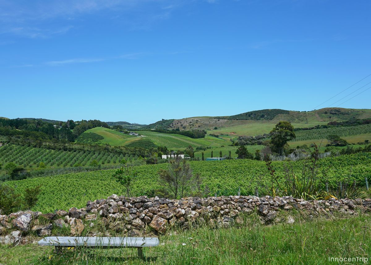 牧場のような草原と青空