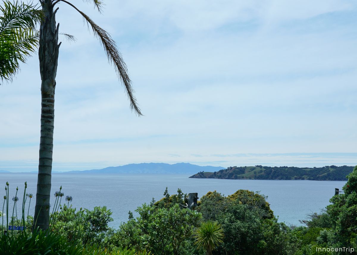 南国の木と青空、遠くに海が見える風景