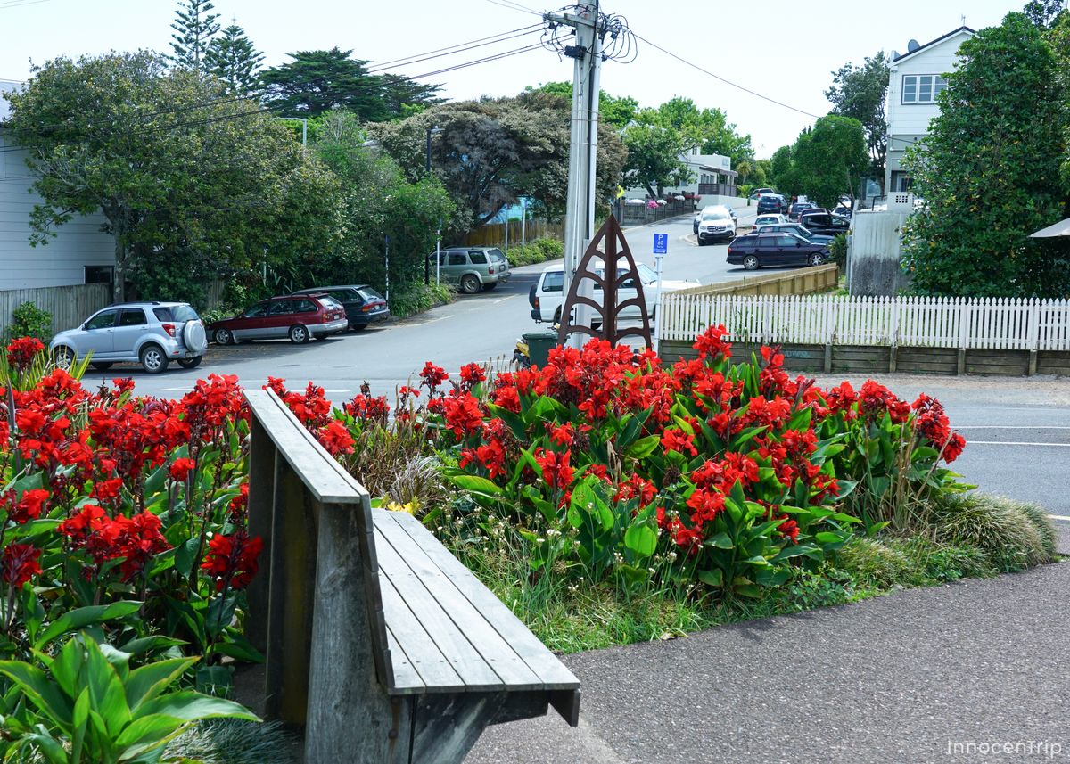 赤い花が咲き誇る街角の風景
