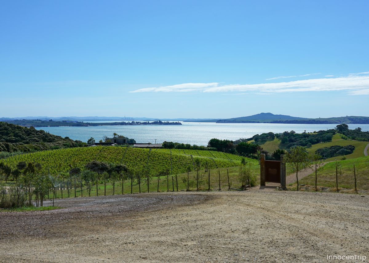 広大な草原と空の風景