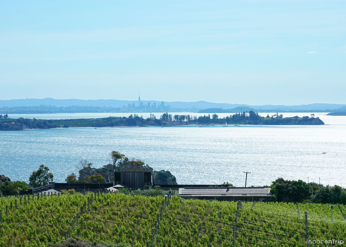 高台から望む海と草原のパノラマビュー
